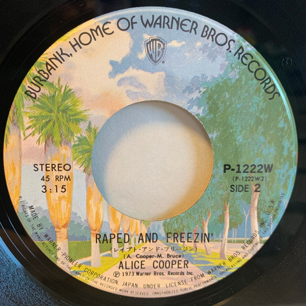 Alice Cooper - ミスター・ナイス・ガイ = No More Mr. Nice Guy (Vinyl, 7", 45 RPM, Single) Very Good Plus (VG+) / Very Good Plus (VG+)