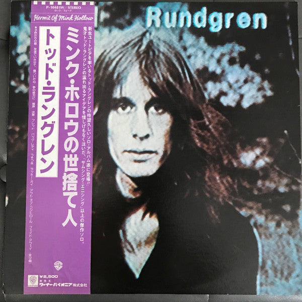 Todd Rundgren - Hermit Of Mink Hollow (Vinyl, LP, Album) Good Plus (G+) / Very Good (VG)