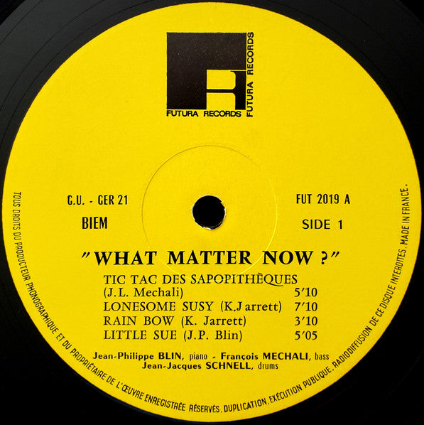 Jean-Philippe Blin Trio - What Matter Now? (Vinyl, LP, Album) Very Good Plus (VG+) / Very Good Plus (VG+)