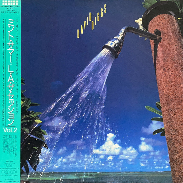 David Diggs - Streetshadows (Vinyl, LP, Album) Very Good Plus (VG+) / Very Good Plus (VG+)