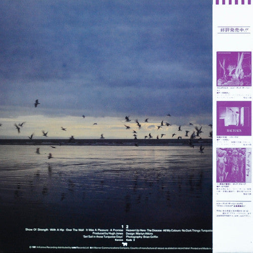 Echo & The Bunnymen - Heaven Up Here (Vinyl, LP, Album)