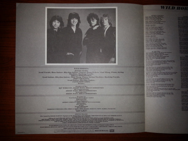 Wild Horses - Stand Your Ground (Vinyl, LP, Album) Near Mint (NM or M-) / Very Good Plus (VG+)