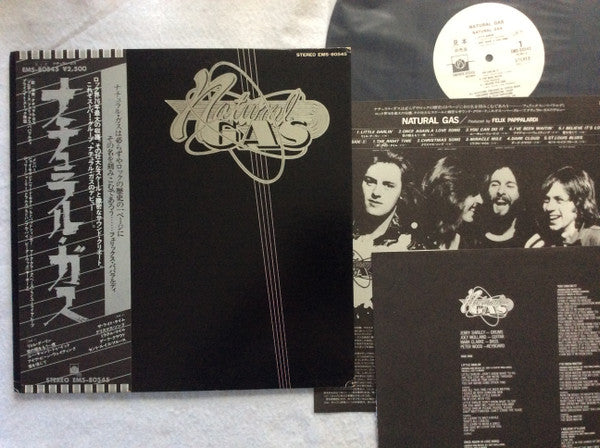Natural Gas - Natural Gas (Vinyl, LP, Album, Promo) Very Good Plus (VG+) / Very Good Plus (VG+)