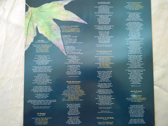 Jennifer Warnes - The Well (Vinyl, LP, Reissue, Stereo) Very Good Plus (VG+) / Very Good Plus (VG+)