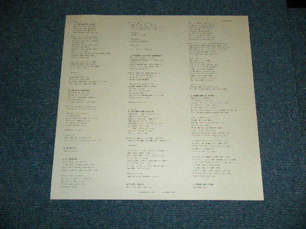 Stray Dog (3) - While You're Down There (Vinyl, LP, Album, Promo) Very Good (VG) / Very Good (VG)