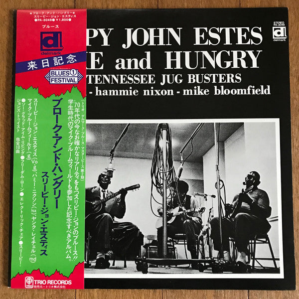 Sleepy John Estes - Broke And Hungry (Vinyl, LP, Album, Stereo) Very Good Plus (VG+) / Very Good (VG)
