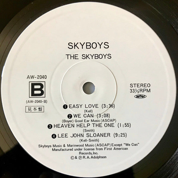 Skyboys - Skyboys (Vinyl, LP, Album, Promo) Very Good (VG) / Good Plus (G+)