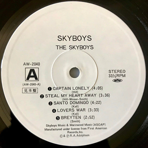 Skyboys - Skyboys (Vinyl, LP, Album, Promo) Very Good (VG) / Good Plus (G+)