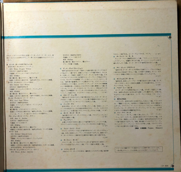 The Beach Boys - The Beach Boys Deluxe (Vinyl, LP, Compilation, Reissue) Very Good Plus (VG+) / Very Good (VG)