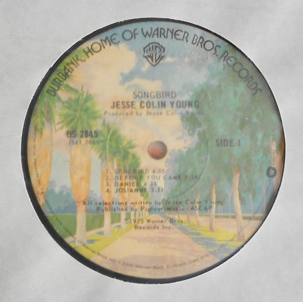 Jesse Colin Young - Songbird (Vinyl, LP, Album) Very Good Plus (VG+) / Good Plus (G+)