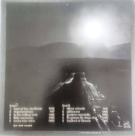 Bruce Cockburn - In The Falling Dark (Vinyl, LP, Album) Very Good (VG) / Very Good Plus (VG+)
