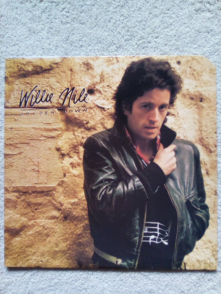Willie Nile - Golden Down (Vinyl, LP, Album) Very Good Plus (VG+) / Very Good Plus (VG+)