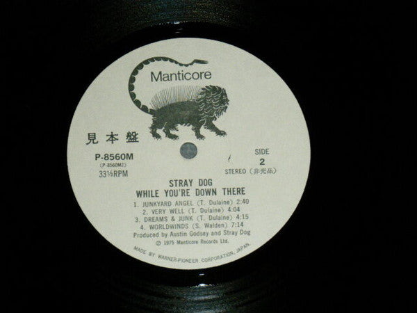 Stray Dog (3) - While You're Down There (Vinyl, LP, Album, Promo) Very Good (VG) / Very Good (VG)