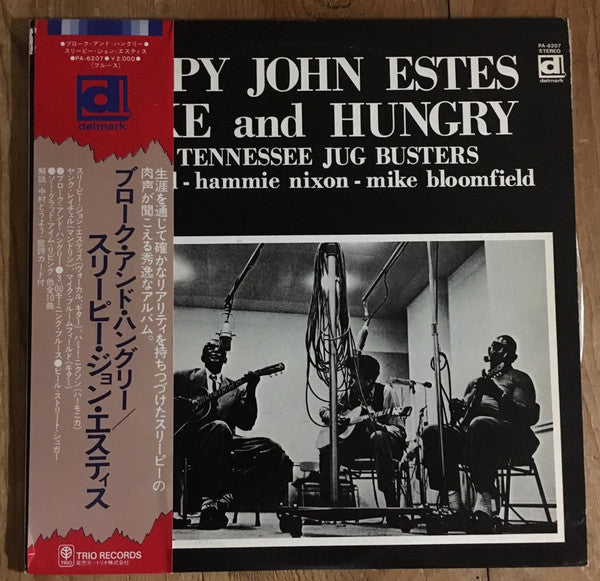 Sleepy John Estes - Broke And Hungry (Vinyl, LP, Album)