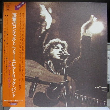 Albert Hammond - The Free Electric Band (Vinyl, LP, Album, Promo) Very Good (VG) / Very Good Plus (VG+)