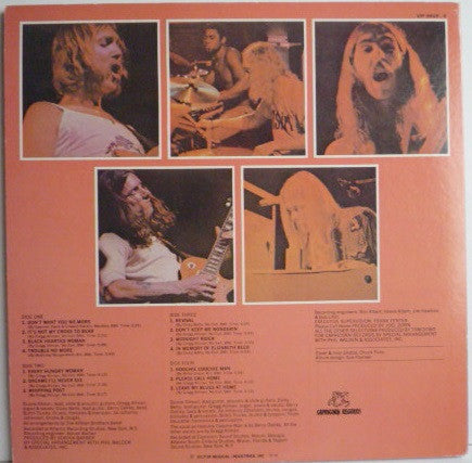The Allman Brothers Band - Beginnings (2xVinyl, LP, Compilation) Very Good Plus (VG+) / Very Good Plus (VG+)
