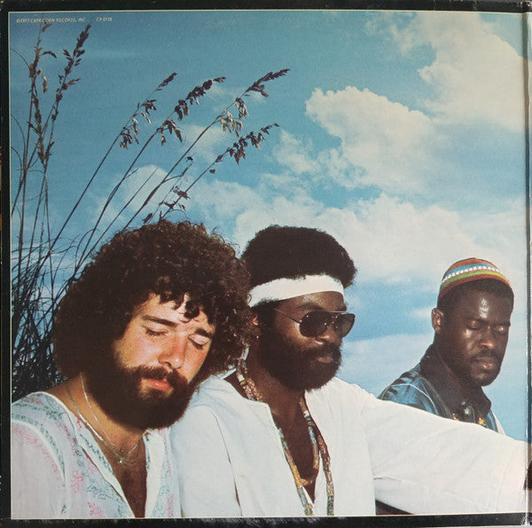 Sea Level - Sea Level (Vinyl, LP, Album) Very Good (VG) / Very Good (VG)