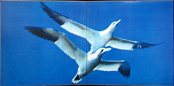 Gruppo 2001 - L'Alba Di Domani (Vinyl, LP, Album, Reissue) Near Mint (NM or M-) / Near Mint (NM or M-)