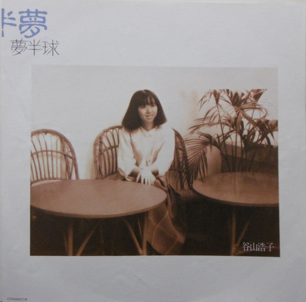 Hiroko Taniyama - Dream Hemisphere (Vinyl, LP, Album) Very Good Plus (VG+) / Very Good (VG)