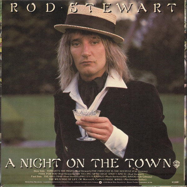 Rod Stewart - A Night On The Town (Vinyl, LP, Album)