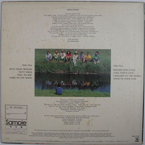 PJ & Cool Runnings - Rising Up (Vinyl, LP, Album) Near Mint (NM or M-) / Near Mint (NM or M-)