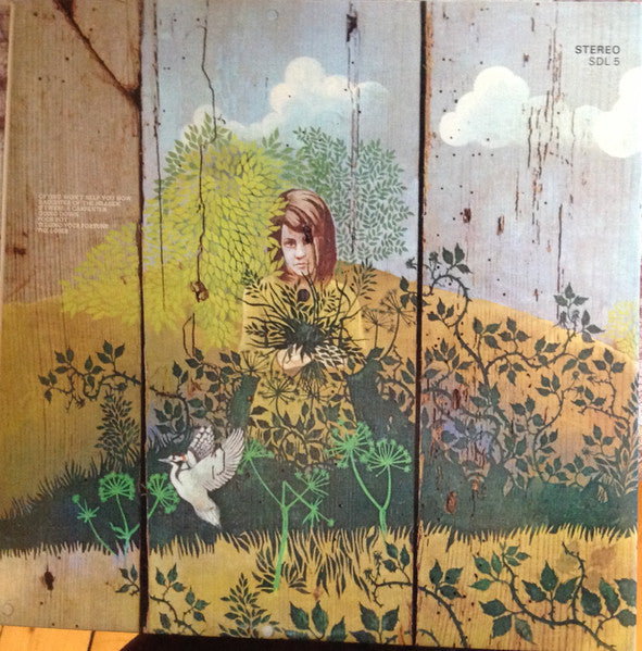 Chicken Shack - Imagination Lady (Vinyl, LP, Album, Repress, Stereo) Very Good Plus (VG+) / Good Plus (G+)