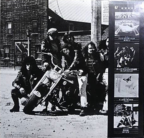 The Boyzz - Too Wild To Tame (Vinyl, LP, Album) Very Good Plus (VG+) / Good (G)