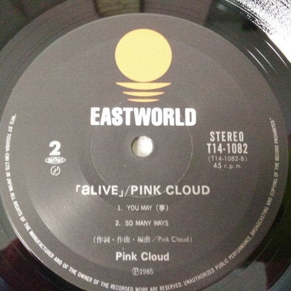 Pink Cloud (2) - Alive (Vinyl, 12", 45 RPM, Album, Stereo)
