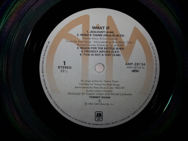 Tommy Shaw - What If (Vinyl, LP, Album) Near Mint (NM or M-) / Very Good (VG)