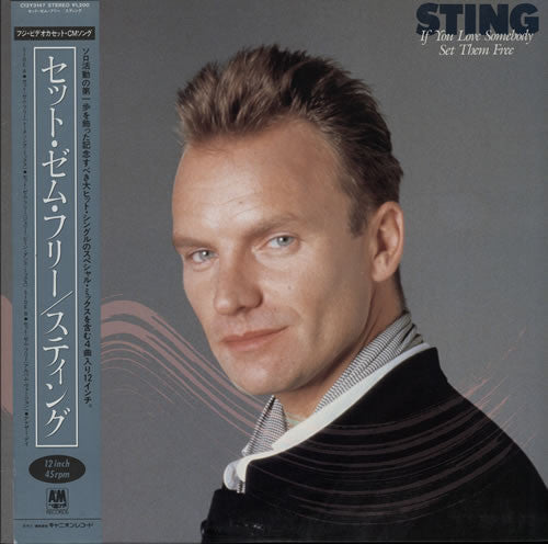 Sting - If You Love Somebody Set Them Free (Vinyl, 12", 45 RPM) Very Good (VG) / Very Good Plus (VG+)