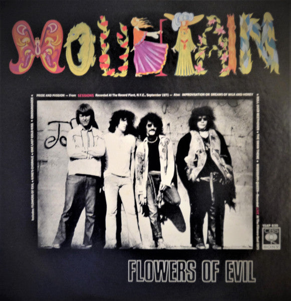 Mountain - Flowers Of Evil (Vinyl, LP, Album, Reissue) Very Good Plus (VG+) / Very Good (VG)