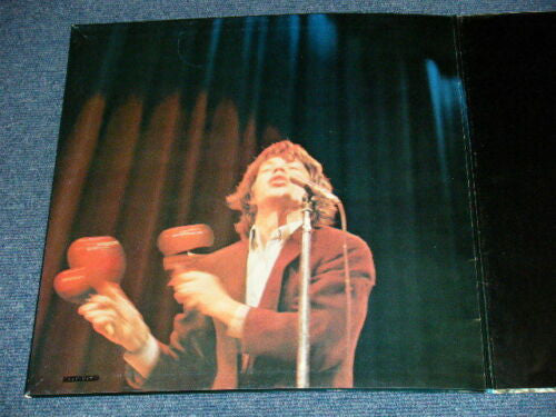 The Rolling Stones - Big Hits [High Tide And Green Grass] (Vinyl, L...
