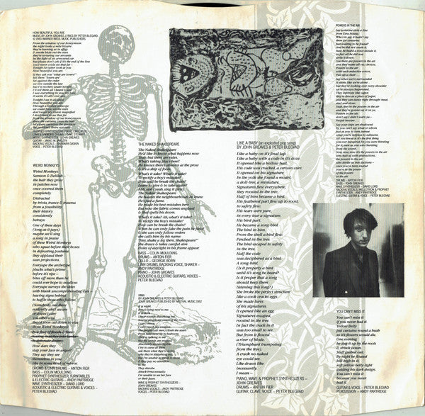 Peter Blegvad - The Naked Shakespeare (Vinyl, LP, Album, Stereo) Very Good Plus (VG+) / Very Good Plus (VG+)