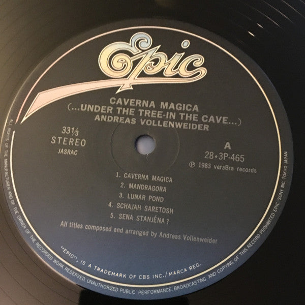 Andreas Vollenweider - Caverna Magica (...Under The Tree - In The Cave...) (Vinyl, LP, Album) Very Good Plus (VG+) / Very Good Plus (VG+)