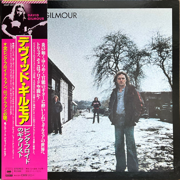 David Gilmour - David Gilmour (Vinyl, LP, Album)
