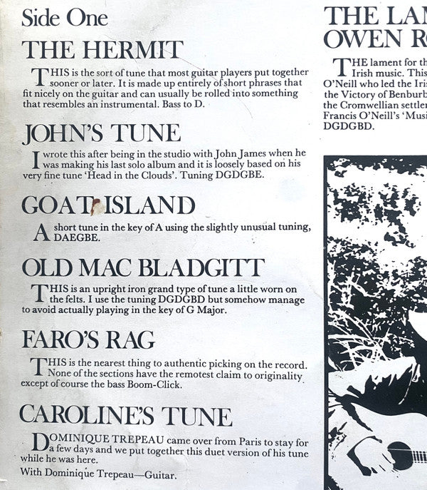 John Renbourn - The Hermit (Vinyl, LP, Album) Very Good Plus (VG+) / Good Plus (G+)