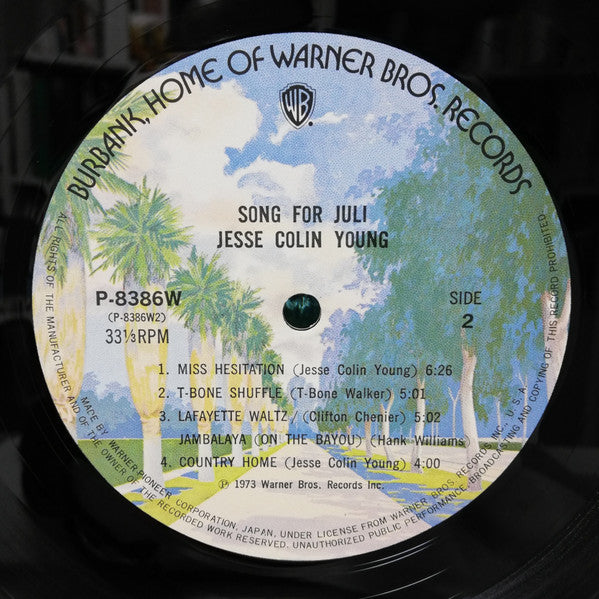 Jesse Colin Young - Song For Juli (Vinyl, LP, Album)