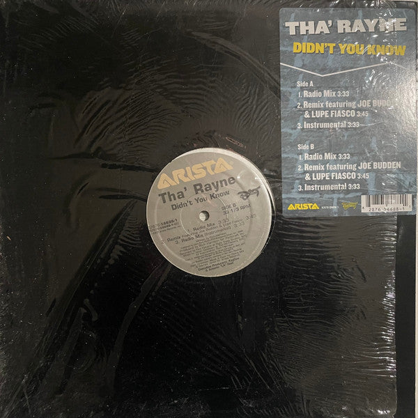 Tha' Rayne - Didn't You Know (Vinyl, 12", 33 ⅓ RPM) Very Good (VG) / Very Good Plus (VG+)