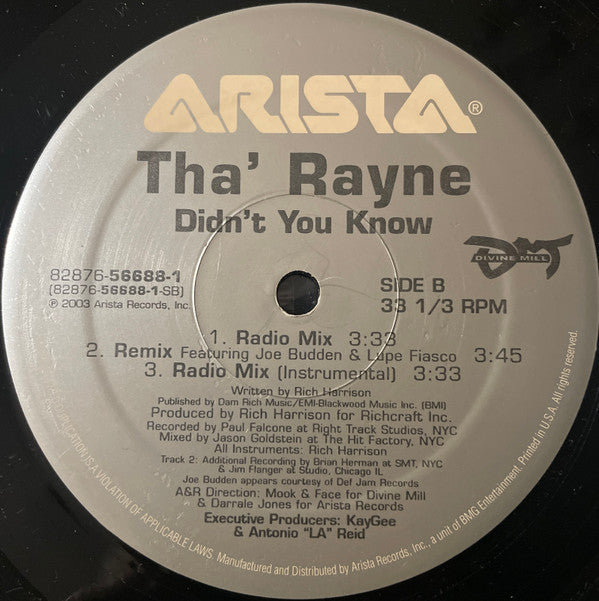 Tha' Rayne - Didn't You Know (Vinyl, 12", 33 ⅓ RPM) Very Good (VG) / Very Good Plus (VG+)