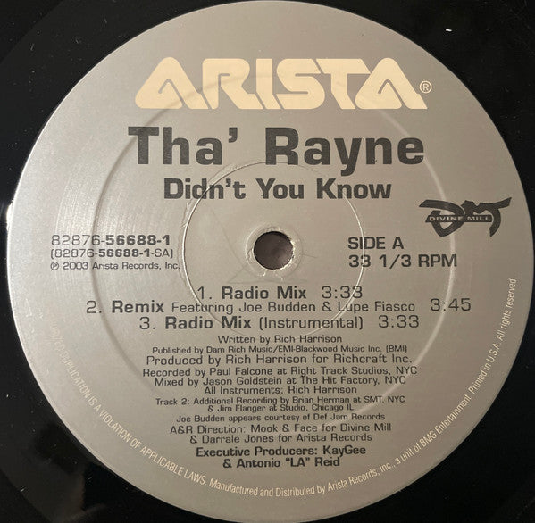 Tha' Rayne - Didn't You Know (Vinyl, 12", 33 ⅓ RPM) Very Good (VG) / Very Good Plus (VG+)