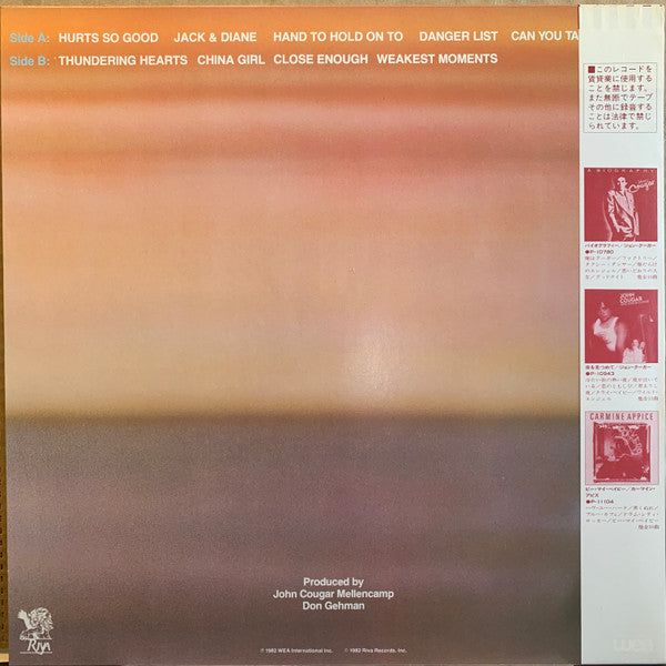 John Cougar Mellencamp - American Fool (Vinyl, LP, Album, Stereo)