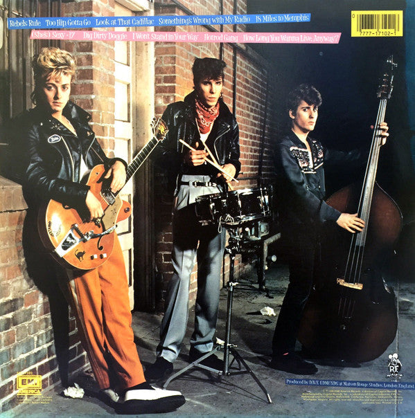 Stray Cats - Rant N' Rave With The Stray Cats (Vinyl, LP, Album) Good Plus (G+) / Good Plus (G+)