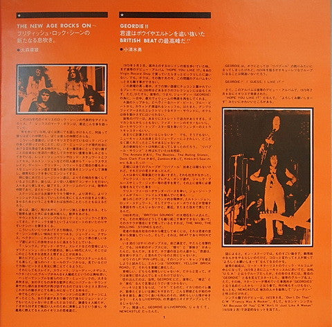 Geordie - Hope You Like It (Vinyl, LP, Album)