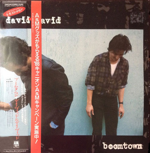 David + David - Boomtown (Vinyl, LP, Album) Very Good Plus (VG+) / Very Good Plus (VG+)