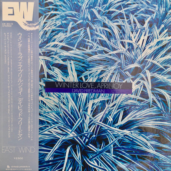 David Friedman - Winter Love, April Joy (Vinyl, LP, Album) Very Good (VG) / Very Good (VG)
