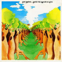 Joel Mabus - Settin' The Woods On Fire (Vinyl, LP, Album) Near Mint (NM or M-) / Very Good Plus (VG+)