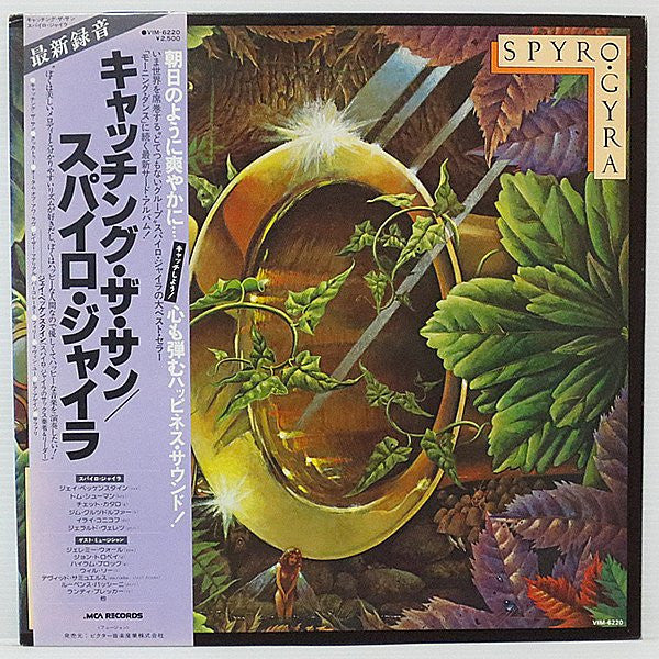 Spyro Gyra - Catching The Sun (Vinyl, LP, Album)