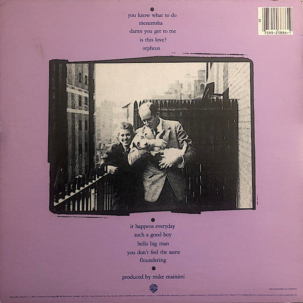Carly Simon - Hello Big Man (Vinyl, LP, Album) Very Good Plus (VG+) / Very Good Plus (VG+)