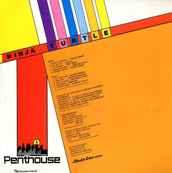 Various - Ninja Turtle (Vinyl, LP, Compilation) Good Plus (G+) / Good Plus (G+)