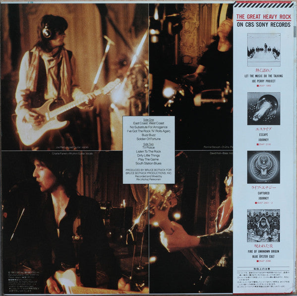 The Joe Perry Project - I've Got The Rock 'N' Rolls Again (Vinyl, LP, Album) Near Mint (NM or M-) / Near Mint (NM or M-)